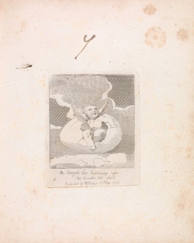 Für Kinder. Die Tore des Paradieses, Tafel 8, Endlich, zum Schlüpfen reif, bricht er die Schale von William Blake
